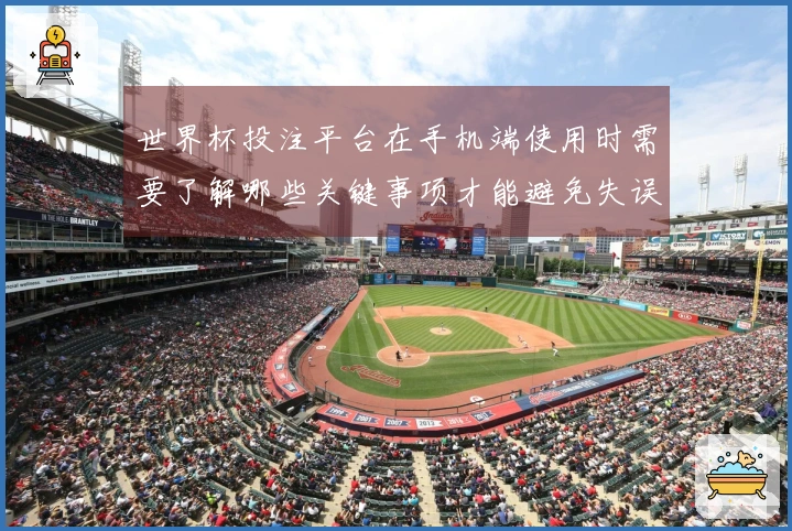 世界杯投注平台在手机端使用时需要了解哪些关键事项才能避免失误？